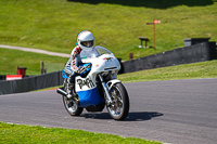 Vintage-motorcycle-club;eventdigitalimages;mallory-park;mallory-park-trackday-photographs;no-limits-trackdays;peter-wileman-photography;trackday-digital-images;trackday-photos;vmcc-festival-1000-bikes-photographs